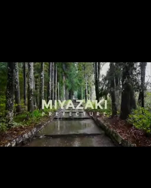 ・
【La French Touch in Miyazaki】
・
宮崎県に訪問させて頂いた
動画の第一弾をご紹介します！

素晴らしい仕事をされている
原木椎茸の
@shiitake_japan 様

有機栽培のお茶の
@otsuka_en 様

世界のVIPに注目される
@hayakawa.sm 様

こだわりの焼酎つくりの
@tadashiyanagita 様

貴重な機会を頂き
ありがとうございました！

私たち、La French Touchが
大切にしていることは日本の
素晴らしい生産者様の魅力を
フランス人のタッチで感じ
味わい、調理し映像化すること。

とことん生産者様のお声を
聞き、理解するための語学
コミュニケーションの
スペシャリスト。
@salondefrance 

映像化のスペシャリスト。
@nilsmccallister 

そして一流の場にこだわって
腕をふるってきたシェフ。
@chef.sebastien.martin 

三位一体となり、魅力発信
プロジェクトに臨みます。

あなたの商品を町を、県を
今まで以上に活性化させる
あなただけのオリジナルの
プランを私たちから
受け止ってください🇫🇷

#宮崎県 
#早川しょうゆみそ株式会社 
#しょうゆ 
#味噌 
#オーガニック 
#bio 
#お茶 
#茶畑 
#焼酎 
#柳田酒造 
#フランス大使館 
#総料理長 
#フランス大使館総料理長 
#インバウンド 
#グルメ